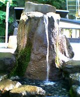 pic_0238.jpg