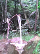 11bde786.jpg