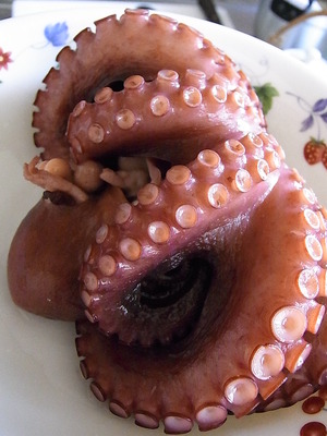 6.地だこ