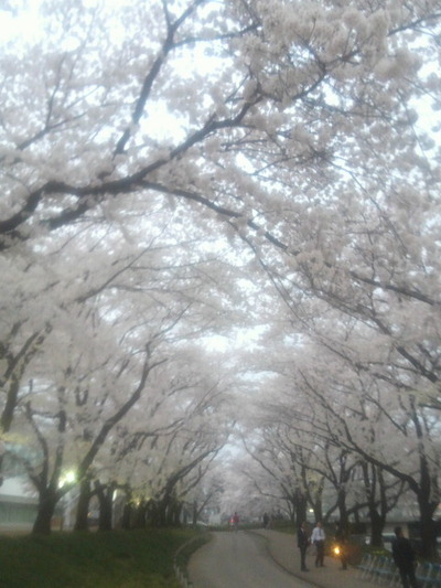 03.桐生市役所20150401