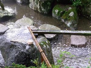 翌朝、再び麝香杉の湧水へ