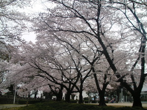 �������ޤ��������äȻ�ǰ