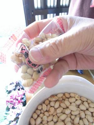 鬼は外用の豆