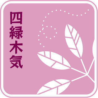 P135:04四緑