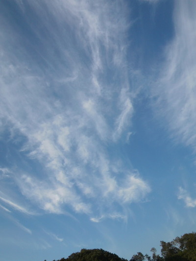 05.龍のような雲