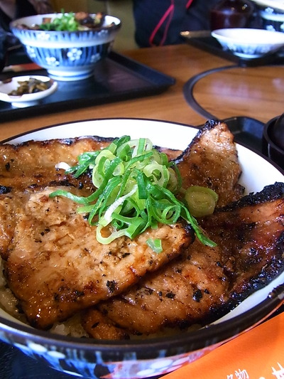 �������ͥ����ɤ�