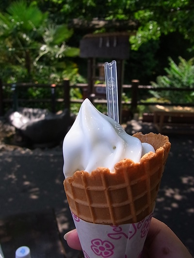 11.暑い季節にぴったり