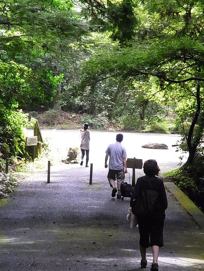 17.コロコロ持参