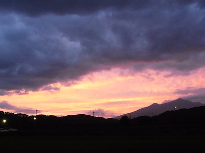 £°£³¡¥»³Íü¤ÎͼÆü