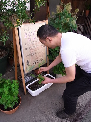 02.田植えする開運シェフ