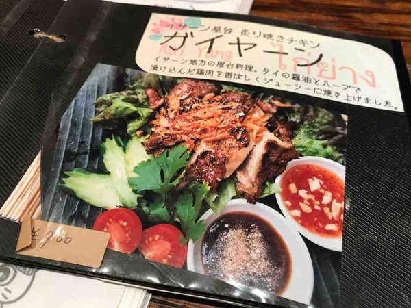 13.ガイヤーン