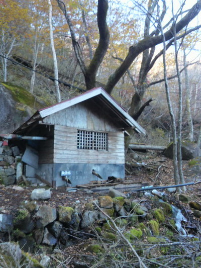 16.水小屋発見