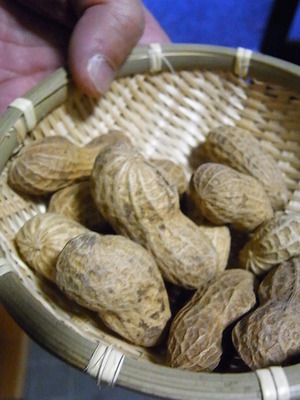 £°£µ¡¥Æ¦¤Þ¤