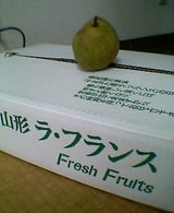 30338e8c.jpg
