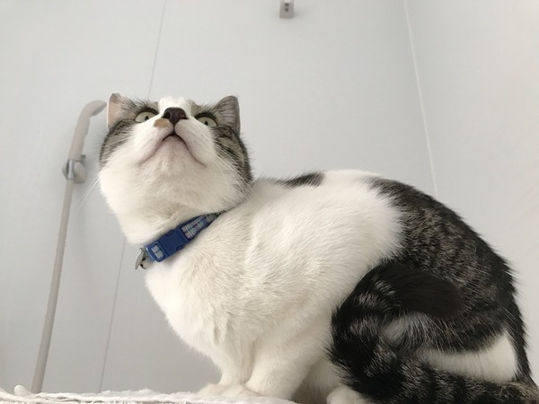 �����ꥢ��