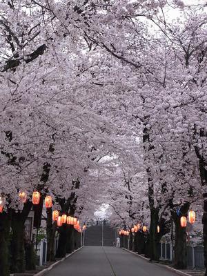 10.貫前神社
