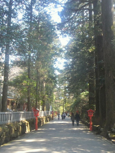 02.鳥居から続く参道