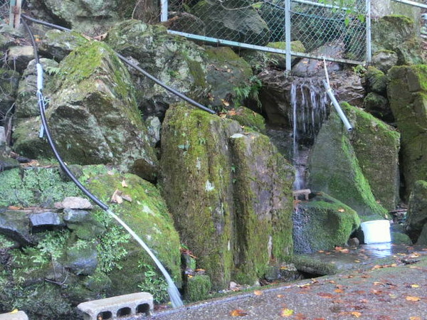 ��̸�����Į