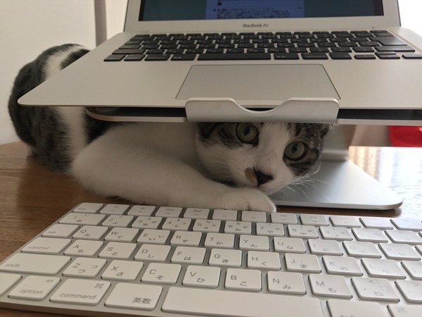 なぜにそこ