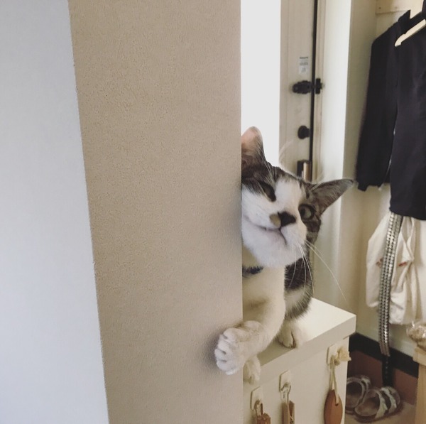 襲われました。