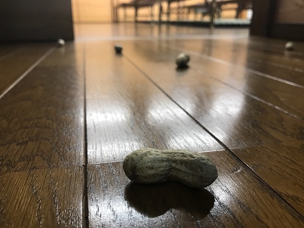 みんなで美味しくいただきました