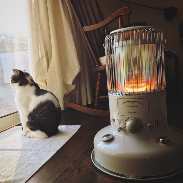 火の暖かさ