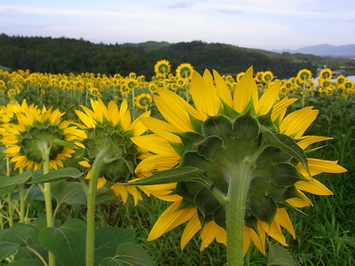 05.みんな同じ方を向いて