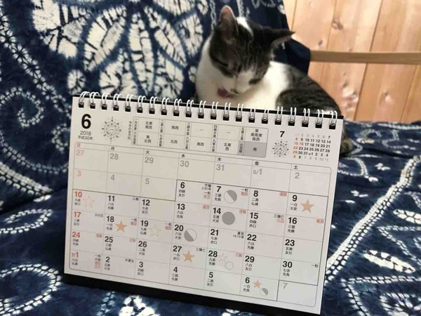 ��������ǯ����α���