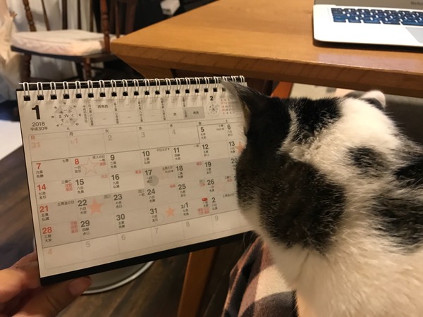 ��������ǯ����α���