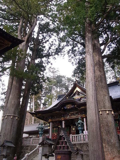 09.ご神木に挟まれたお社