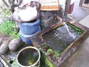 清水