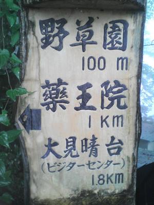薬王院まで1km
