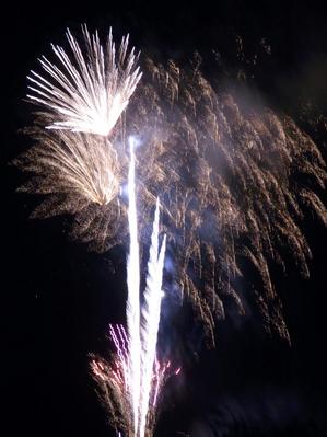 ͦ������