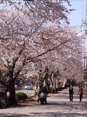 ��������Ȩ��