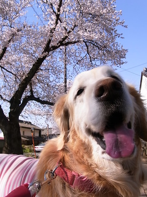 ��������Ȩ���Ȥ����