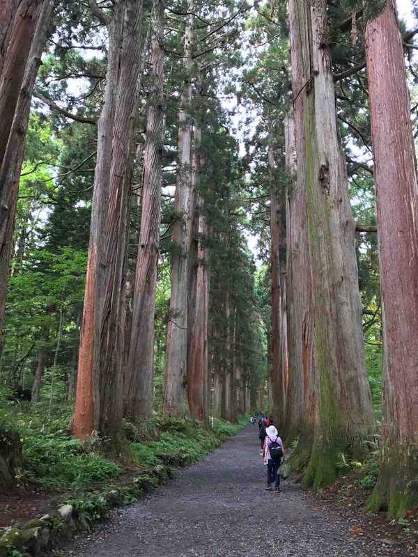 01.戸隠神社