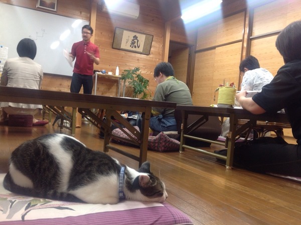 猫のいる講座追加