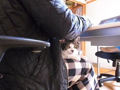 2017こよみ変更点