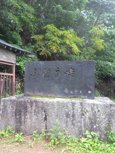 06.ぶどう峠