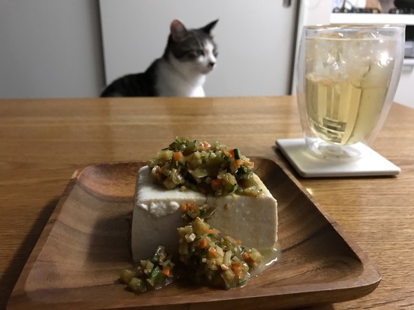 ����ѥ������