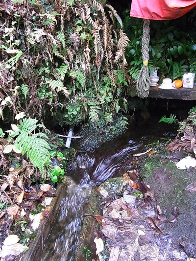 06.溢れる湧水