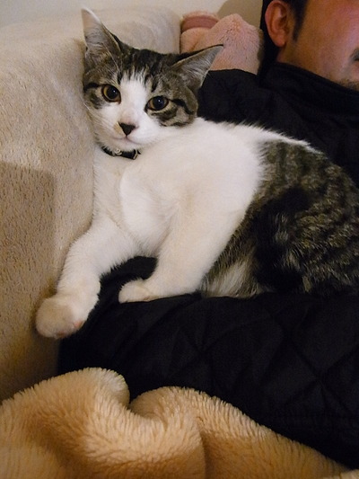 ������������