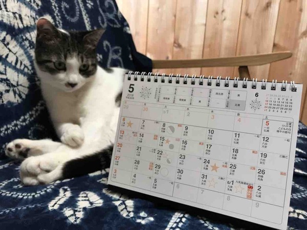 ��������ǯ����α���