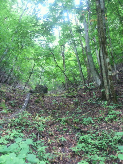 01.上野村の清水
