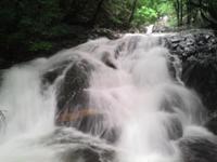 ������ή��