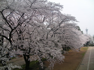 �����������κ�