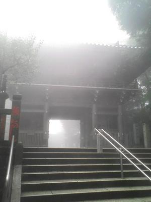 ようやく見えてきた門