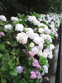 ������ϥ��������Ǥ��äѤ�