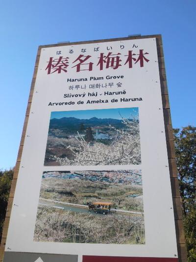 01.榛名梅林