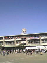 6a4a6b85.jpg
